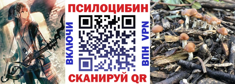 Галлюциногенные грибы прущие грибы  Олонец 